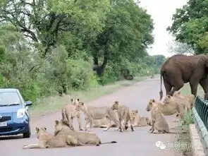 女朋友出个轨,就得往嫖娼道上带
