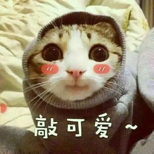 小除夕来了,你准备好了吗
