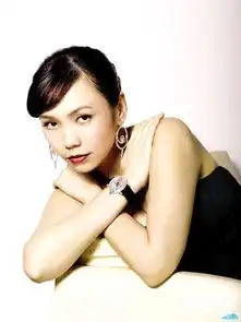 陈洁仪新加坡女歌手搜狗百科
