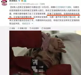 王宝强妈妈去世,新女友曝光马蓉却带着女儿出国游
