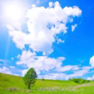 转运风水上最好的微信头像招财进宝可爱点
