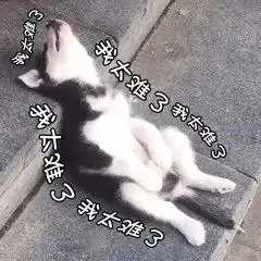 微信读书带着网页版悄悄来了,你来不来
