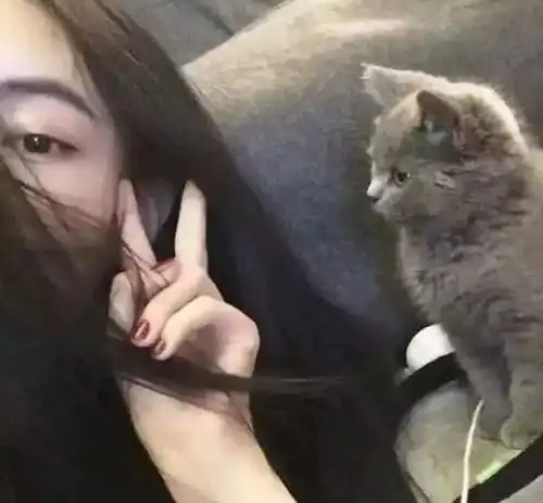 暗恋你的女生,表白前都会问的三件事,别再被当成直男了
