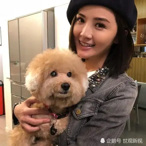 蔡卓妍爱犬糖尿病逝世妈妈永远都会想念你
