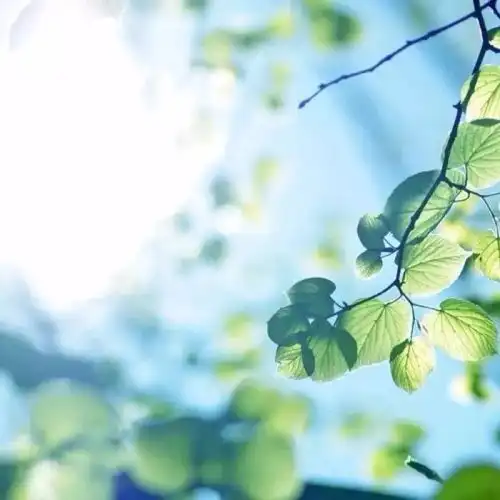 被巨婴绝交,是种什么样的感觉
