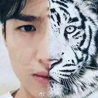 半张脸动物q版头像一半动物一半人脸头像
