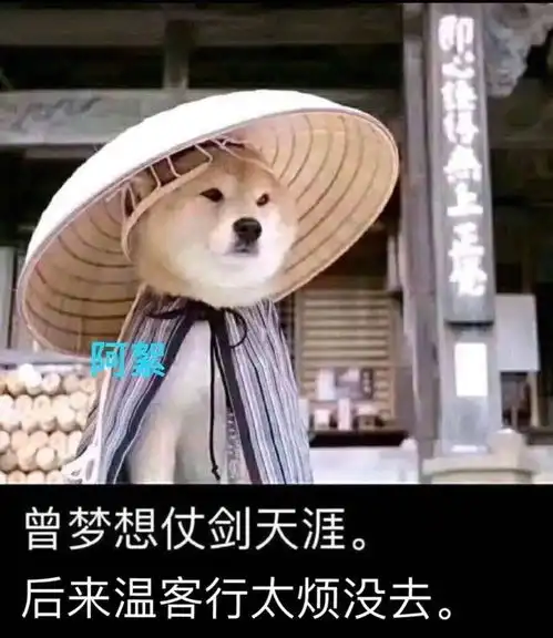 沙雕表情包分享我能有什么坏心思呢
