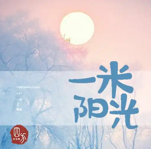 网络小说一米阳光
