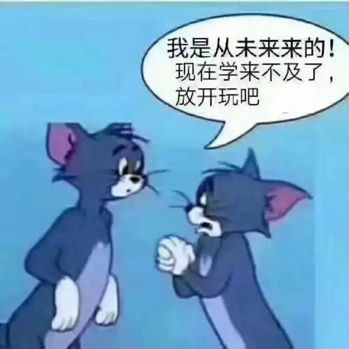 我是从未来来的现在学来不及了,放开玩吧汤姆猫表情包来不及放开汤姆玩吧表情
