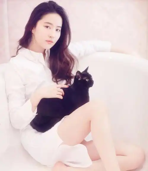 刘亦菲与猫咪亲密合照,一改昔日高冷风,暴露邻家少女的气质
