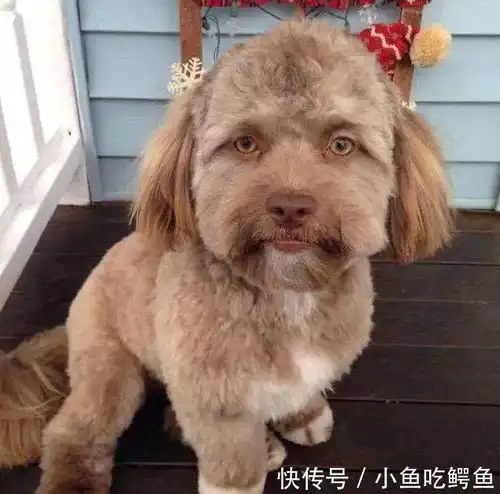 搞笑笑话等我死了你再整容吧我怕晚上被你吓死
