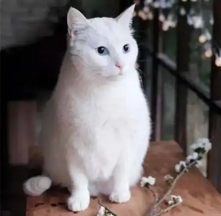 大数据时代,我们该如何保护自己的隐私
