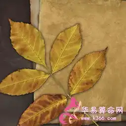 狮子座女生恋爱的具体表现
