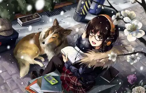 让人耳朵激灵的几款解码耳放
