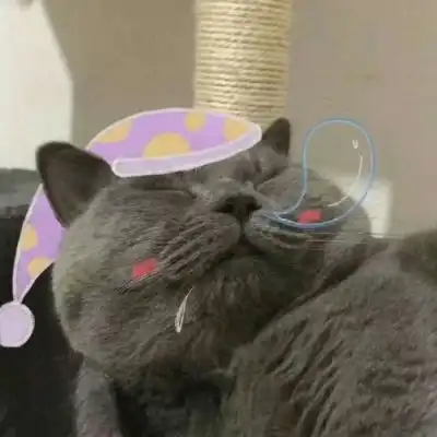 池乔爬爬可爱橘色猫猫情头自加情侣头像我要个性网
