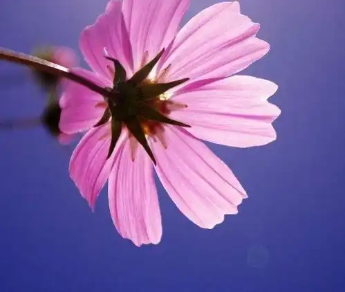 1月起财运迎进门,好运不断的生肖,赚入大量金钱,富贵伴一生
