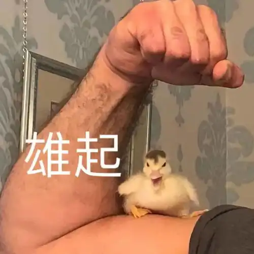 今日头像丨你是人间理想
