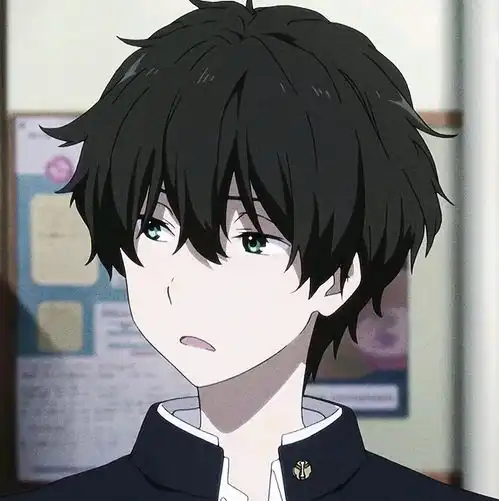 第十三期校园四霸折木奉太郎
