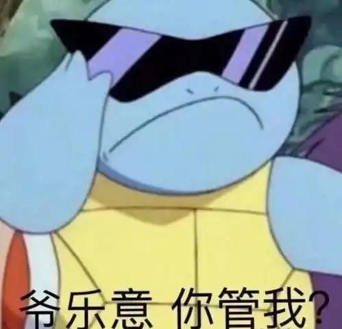 一双被遗忘的实战好鞋
