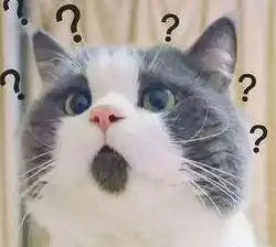 猫生艰难身价不菲的布偶猫被摆在柜台当招财猫,原因太奇葩

