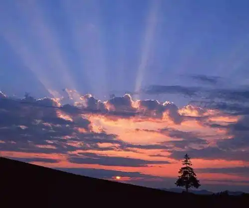 心若计较,处处都有怨言
