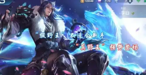 王者荣耀你知道吗新晋的野王上分真稳定,操作还十分简单
