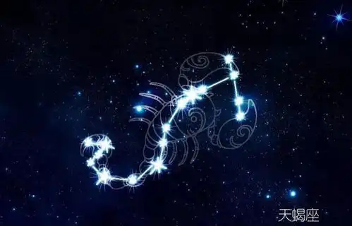 十二星座都是什么类型的人格
