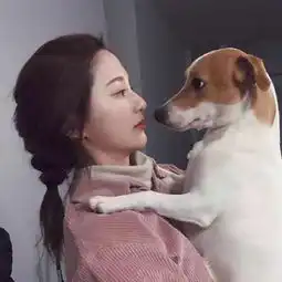 求两张图片,是情侣头像来的,具体看下图
