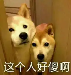 9岁男孩被狗狗舔了下手,于是全村狗狗都遭殃了
