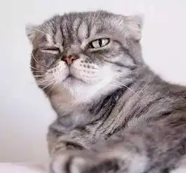 开心一刻笑话高考考完开始放假,哥几个约好去工地打工挣几个小钱
