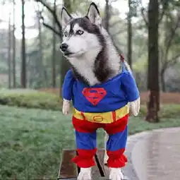 qq个性头像qq头像大全扣扣居第6页
