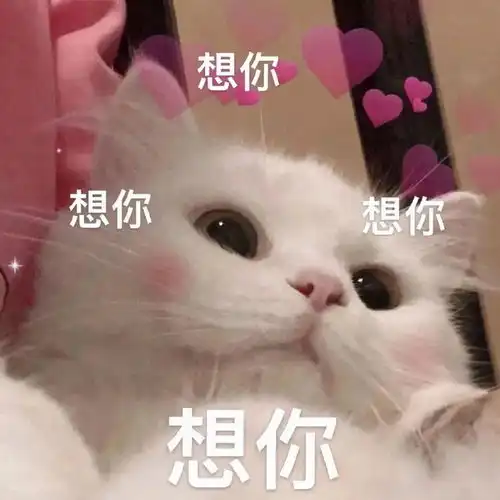 有哪些流行的网络表情包
