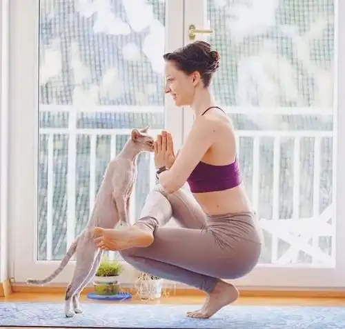 最简单的瑜伽体式,1分钟就ok
