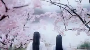 朱一龙古风公子景
