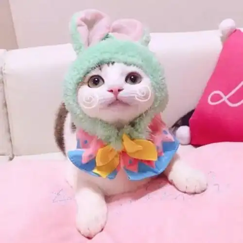 情侣头像能遇到一个可以分享快乐的人太不容易了
