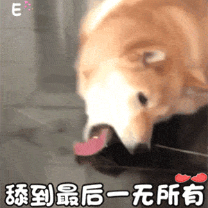 舔狗系列表情包我要做姐姐的舔狗
