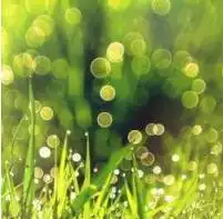 父亲节,一起来为爸爸做专属头像
