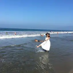 2018圣莫尼卡海滩旅游攻略门票地址游记点评,洛杉矶旅游景点酒店购物美食推荐去哪儿攻略社区
