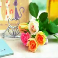 鲜花头像图片大全大图唯美清新鲜花花束头像
