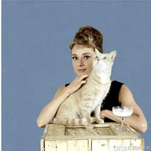 20世纪60年代时尚偶像奥黛丽赫本的50张令人惊叹的照片
