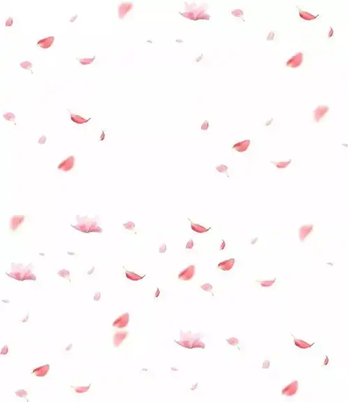 送你一本南医大研究生单身秘籍
