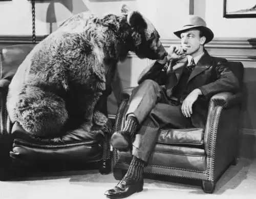 世界上最危险的七类宠物美女与狮子居住6年,俄罗斯熊毫无尊严
