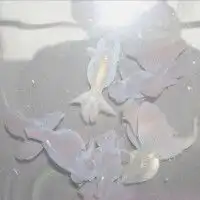 美女时尚主播曹安娜性感私房照美女模特做网红气质好形象佳
