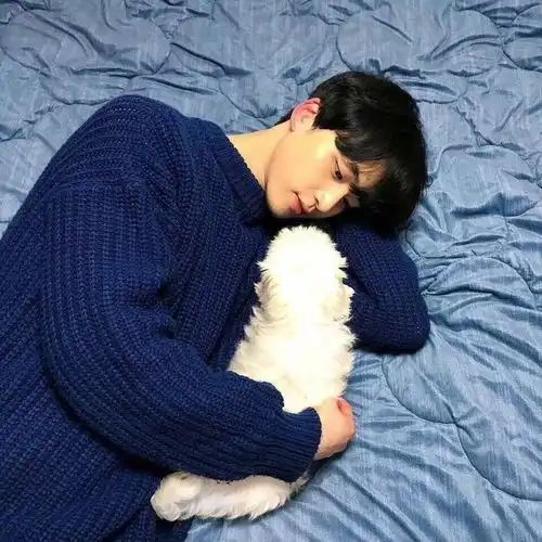 头像不要未来,只要你来
