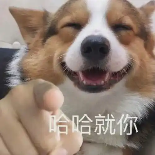 猫咪都是养不熟的白眼狼没想到,这年头还有人这么冤枉猫
