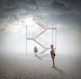 2016年索尼世界摄影大奖赛获奖作品
