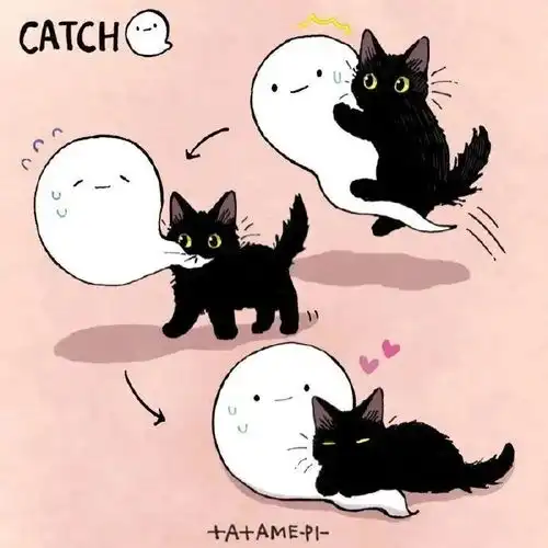 可爱猫猫插画合集,让你一周元气满满
