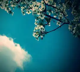 14401280高清安卓手机壁纸蓝天白云和美女
