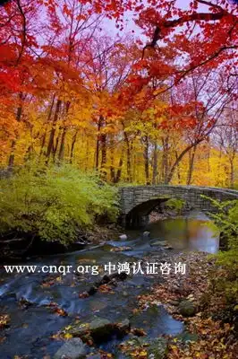 领导者应具备的6大能力
