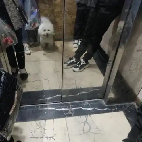 我的两个袖子活生生被闺蜜拍成了屁股
